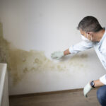 Man with mouth nose mask and blue shirt and gloves n front of white wall with mold